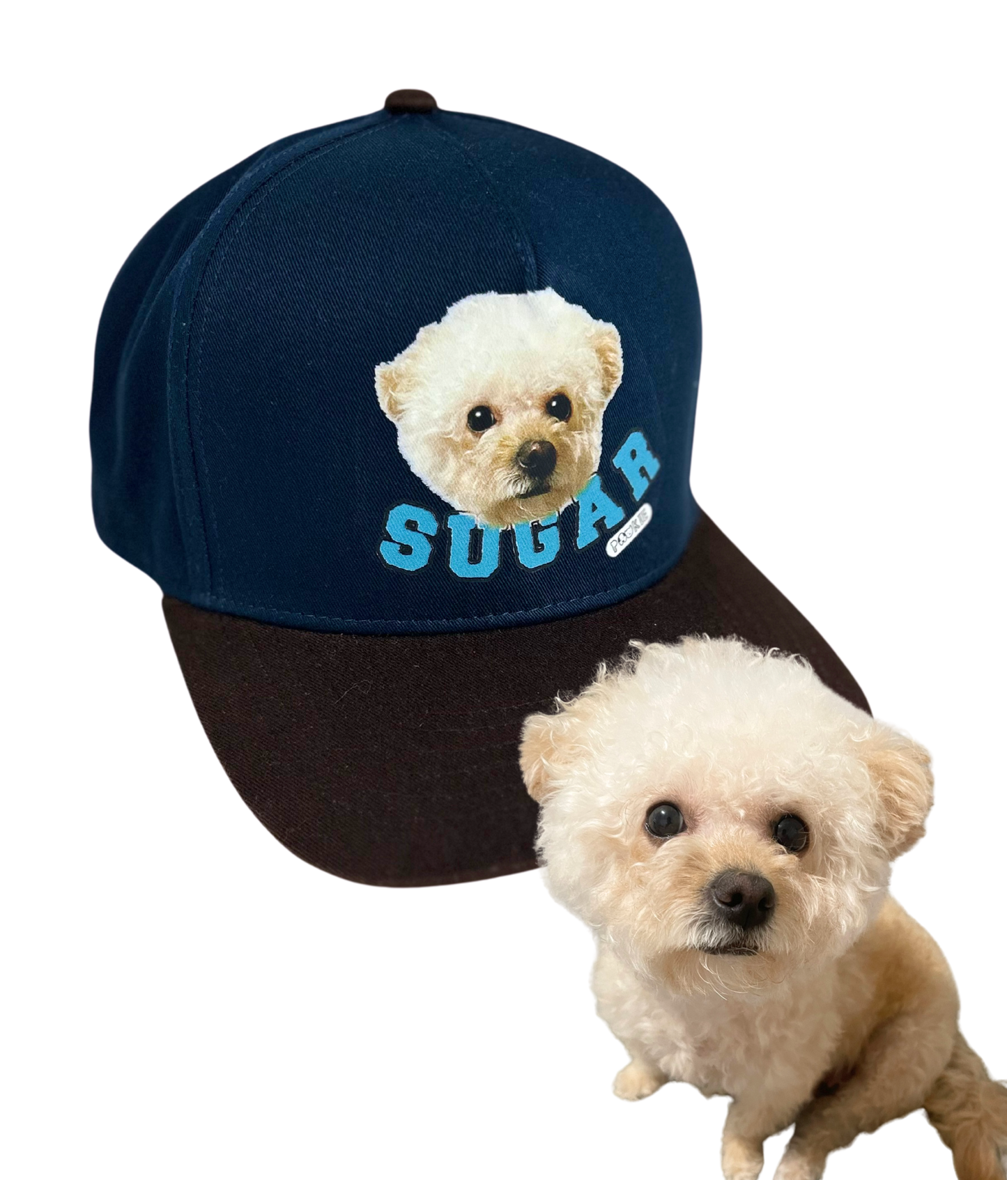 Custom Pet Cap