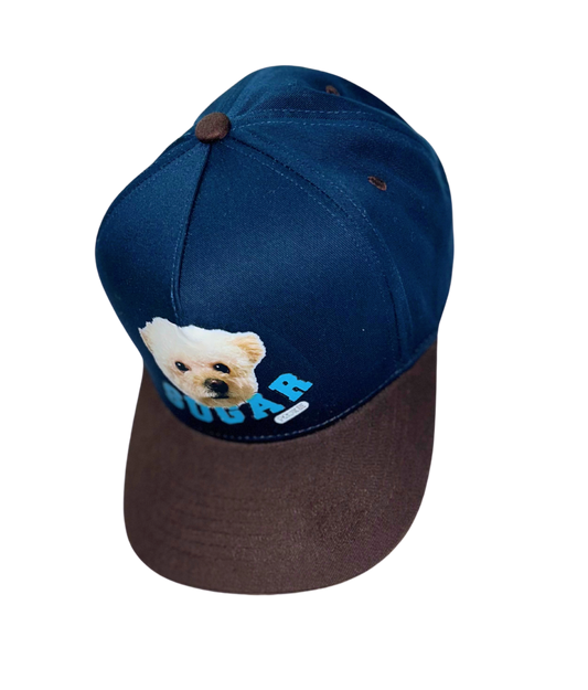 Custom Pet Cap