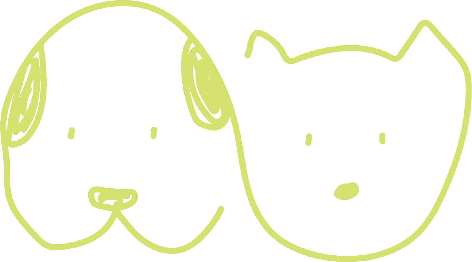 background shape