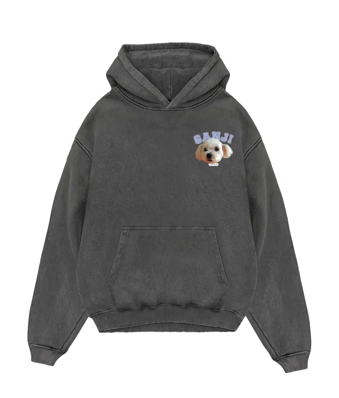 Custom Pet Hoodie