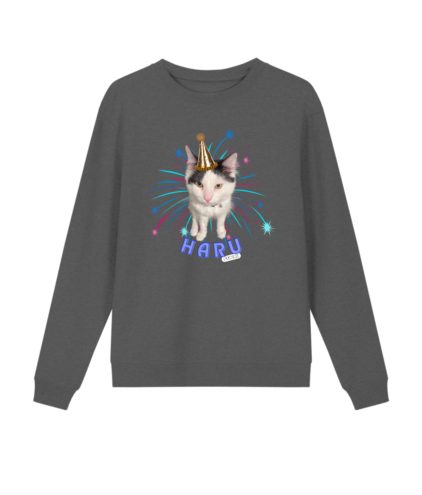 Custom Pet Crewneck Sweatshirt Party Edition